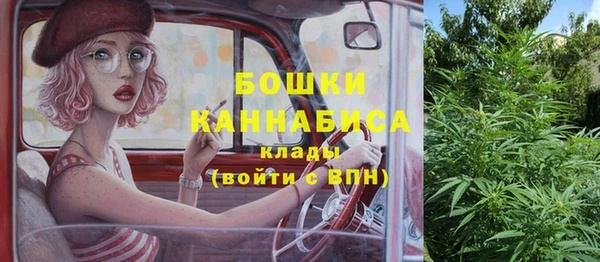 винт Рославль