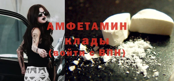 индика Сатка