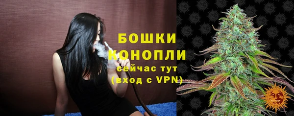 винт Рославль