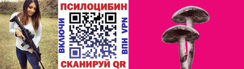 Купить  Александровское  Псилоцибиновые грибы Magic Shrooms 